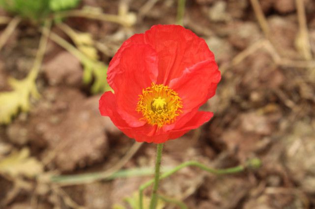 十二星座适合居住在哪个城市？摩羯钟爱武汉，双鱼很浪漫