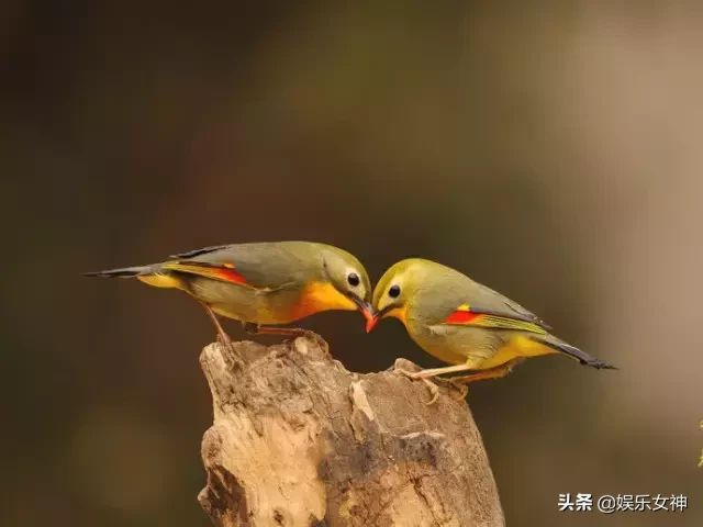 今天是5月22，夫妻日，百年一遇的吉祥日子，送给天下所有的夫妻