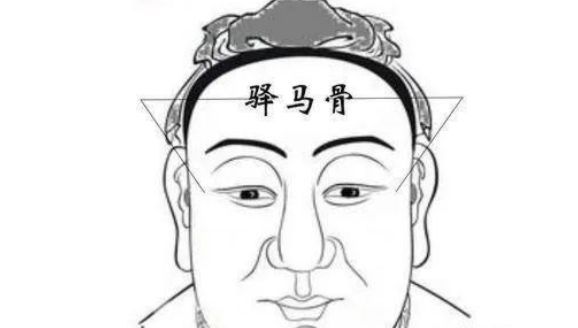 日月角骨很明显的人图片多吗,日月龙虎骨厉害还是龙角骨