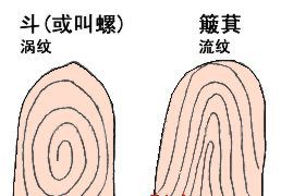 女人手上有几个斗，天生有福气，注定大富大贵，好命到老！