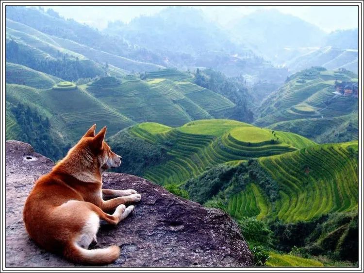 地球上最美的100张照片,尾龙骨胎记图片