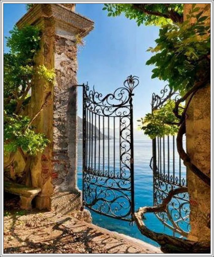 地球上最美的100张照片,尾龙骨胎记图片