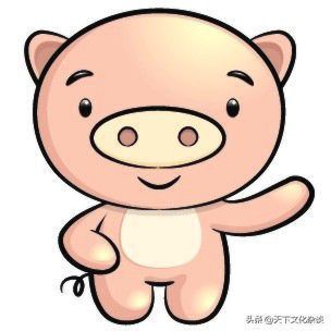 2019年运势12生肖运势每月运程,十二生肖每日运程早知道