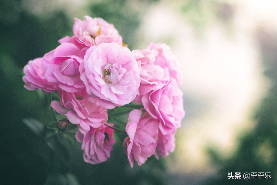 超级护妻狂魔的星座男,爱你才会碰你的星座男