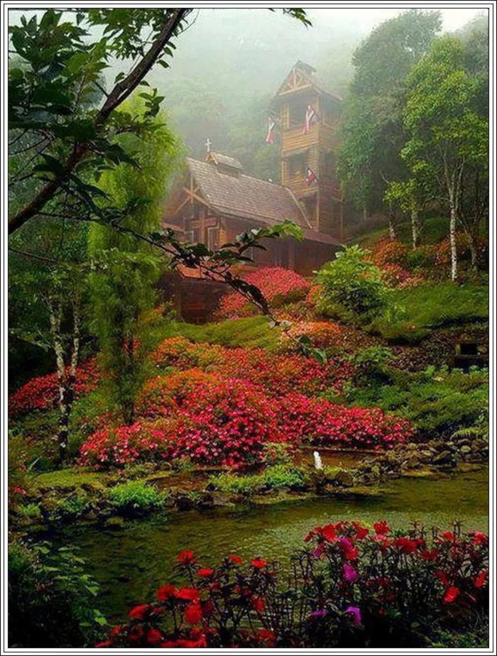 地球上最美的100张照片,尾龙骨胎记图片