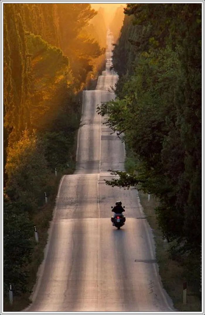 地球上最美的100张照片,尾龙骨胎记图片