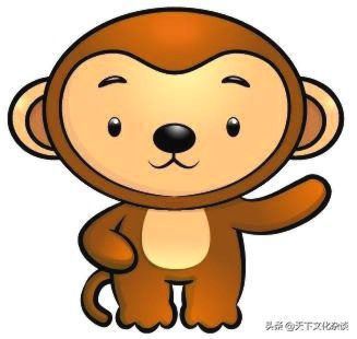 2019年运势12生肖运势每月运程,十二生肖每日运程早知道