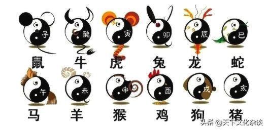 2019年运势12生肖运势每月运程,十二生肖每日运程早知道