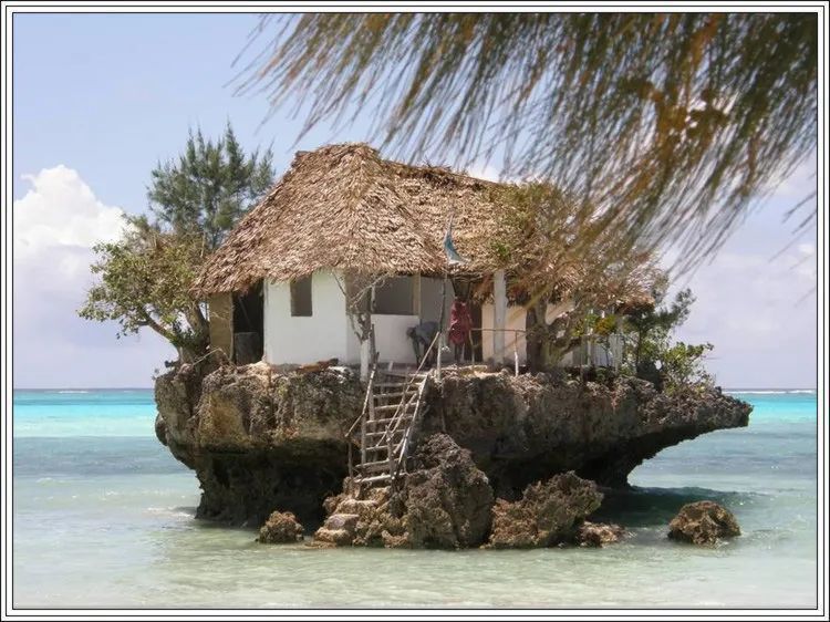 地球上最美的100张照片,尾龙骨胎记图片