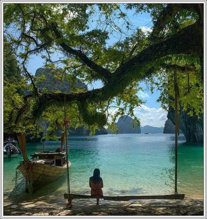 地球上最美的100张照片,尾龙骨胎记图片