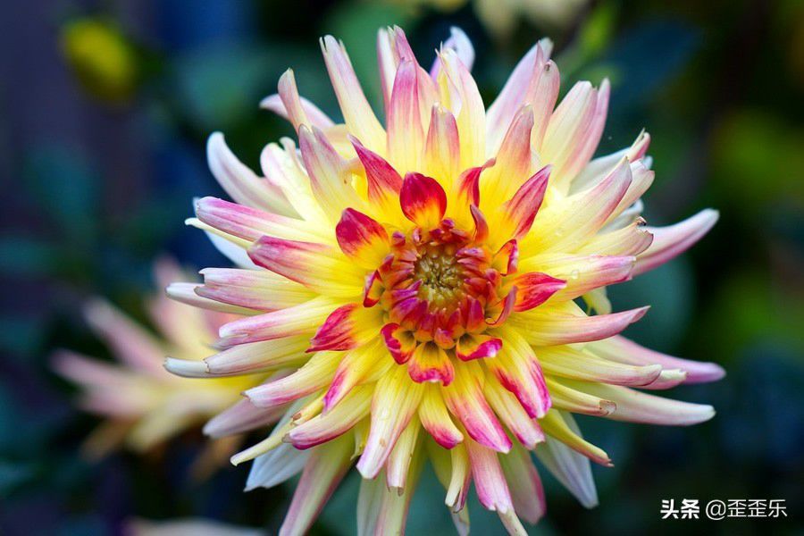 超级护妻狂魔的星座男,爱你才会碰你的星座男