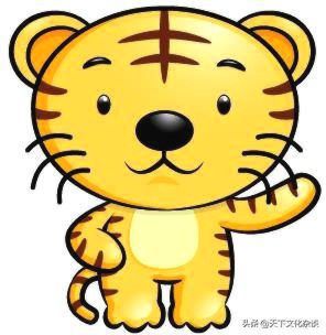 2019年运势12生肖运势每月运程,十二生肖每日运程早知道