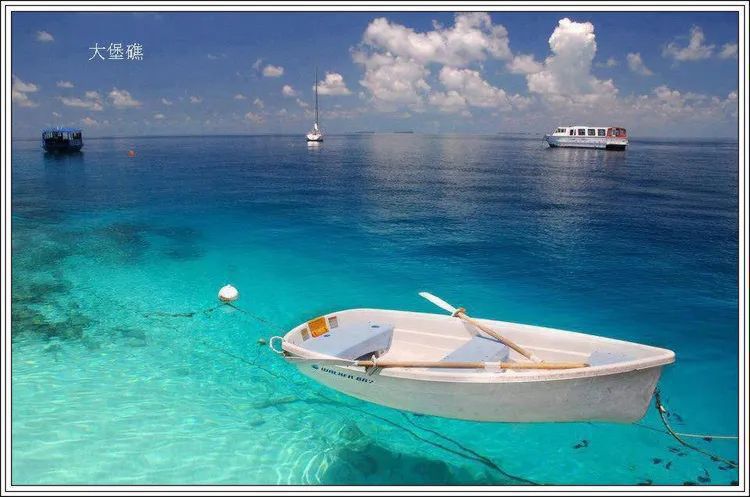 地球上最美的100张照片,尾龙骨胎记图片