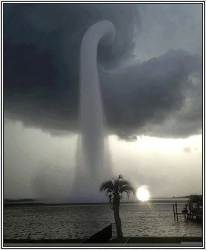 地球上最美的100张照片,尾龙骨胎记图片