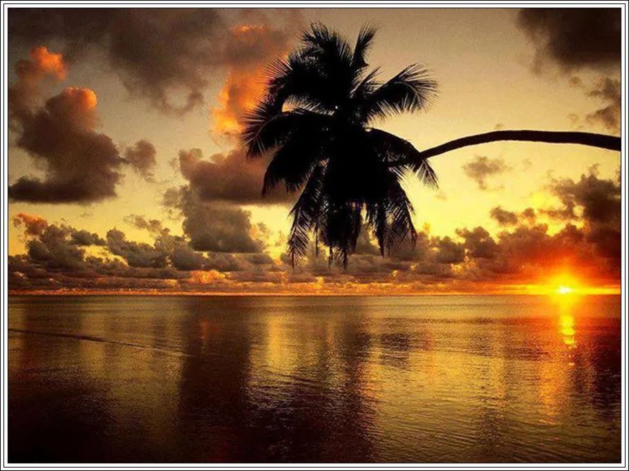 地球上最美的100张照片,尾龙骨胎记图片