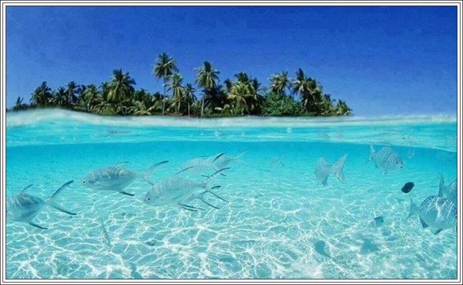 地球上最美的100张照片,尾龙骨胎记图片