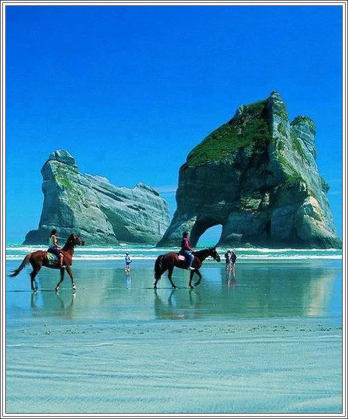 地球上最美的100张照片,尾龙骨胎记图片