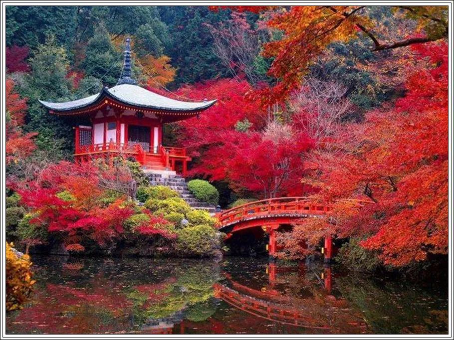 地球上最美的100张照片,尾龙骨胎记图片