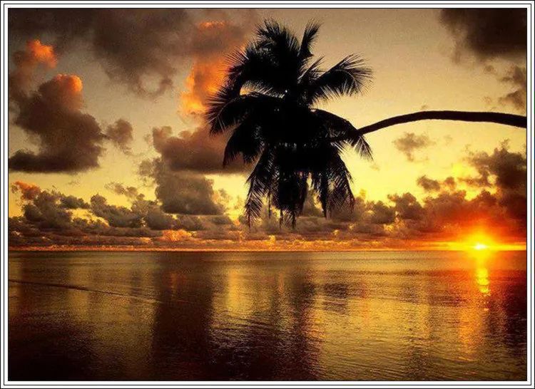 地球上最美的100张照片,尾龙骨胎记图片