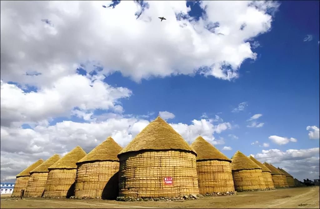 打麻将为什么叫雀神什么意思,手机装程序控制麻将机