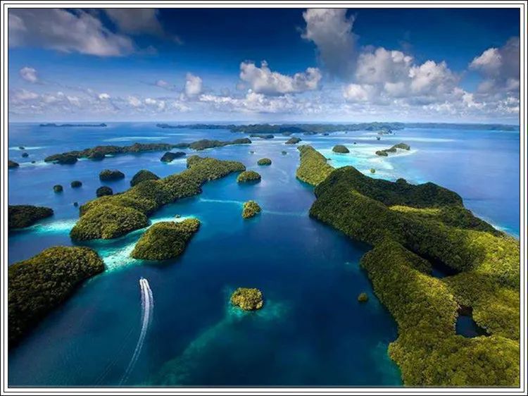 地球上最美的100张照片,尾龙骨胎记图片