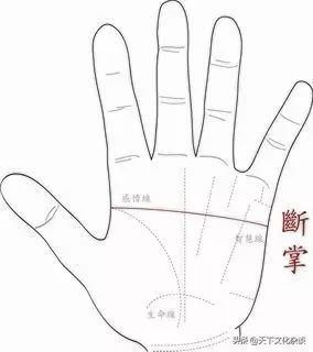 女人手指粗短是什么命手掌肉多,女人手胖有福还是手瘦有福