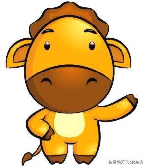 2019年运势12生肖运势每月运程,十二生肖每日运程早知道