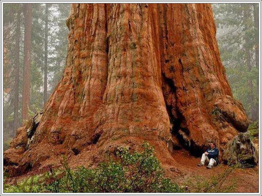 地球上最美的100张照片,尾龙骨胎记图片