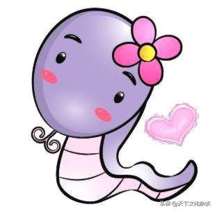 2019年运势12生肖运势每月运程,十二生肖每日运程早知道