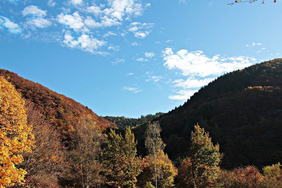 处女座6月运势查询,2022年女座每月运势