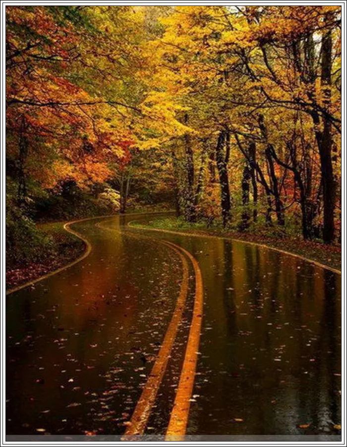 地球上最美的100张照片,尾龙骨胎记图片