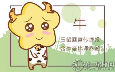 1973年属牛的人2019年运程大全及破解
