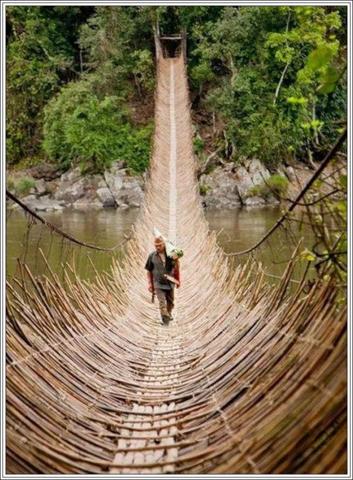 地球上最美的100张照片,尾龙骨胎记图片