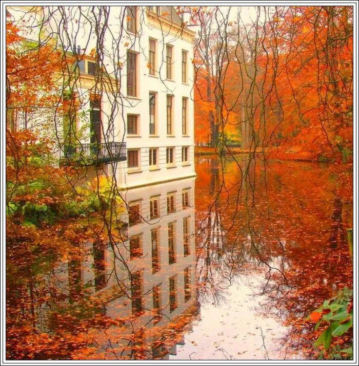 地球上最美的100张照片,尾龙骨胎记图片