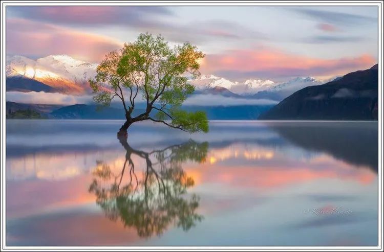 地球上最美的100张照片,尾龙骨胎记图片