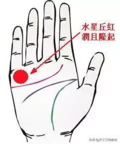 女人手指粗短是什么命手掌肉多,女人手胖有福还是手瘦有福