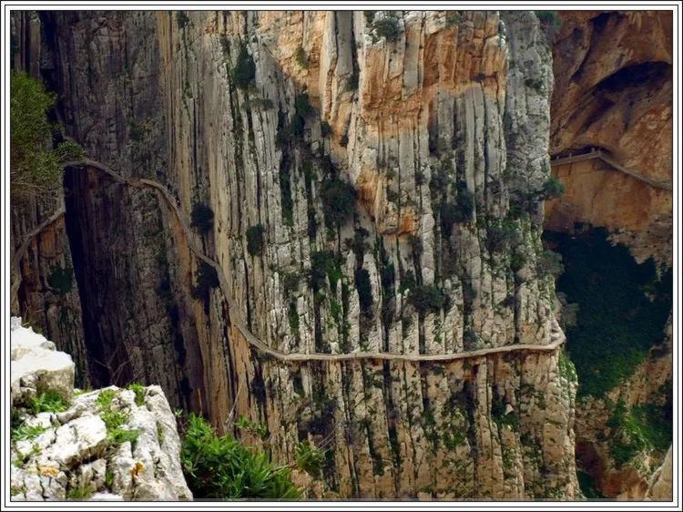 地球上最美的100张照片,尾龙骨胎记图片