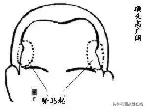 龙角骨和日月角的区别的视频,标准龙角骨图片