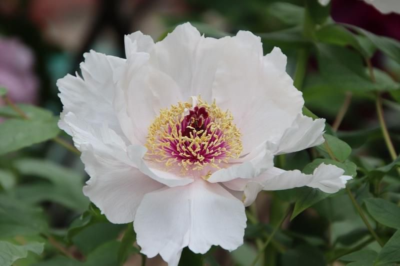 金牛座今日运势查询女,2022年金牛座女每月运势