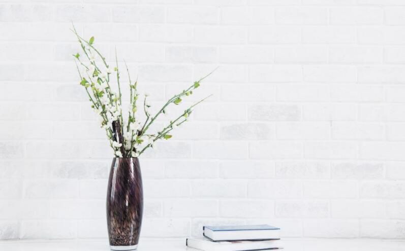 金牛座6月运势2022年学业,高人预言金牛座2022