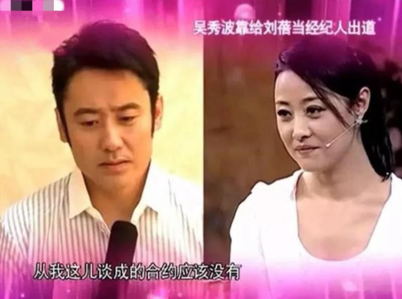 吴秀波第二一任妻子,吴秀波第二任妻子