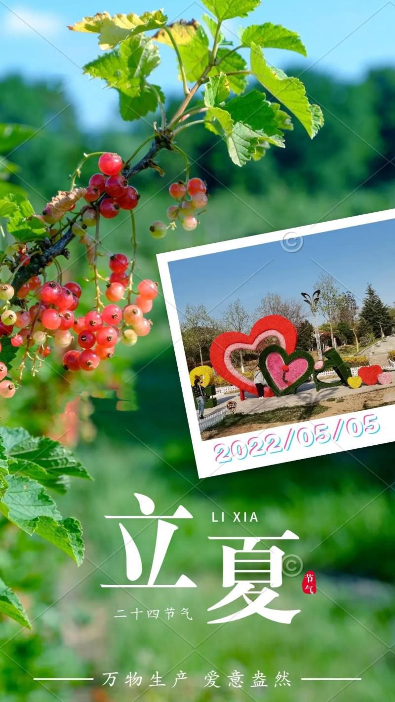 2022年05月日历,2022年农历五月是什么月