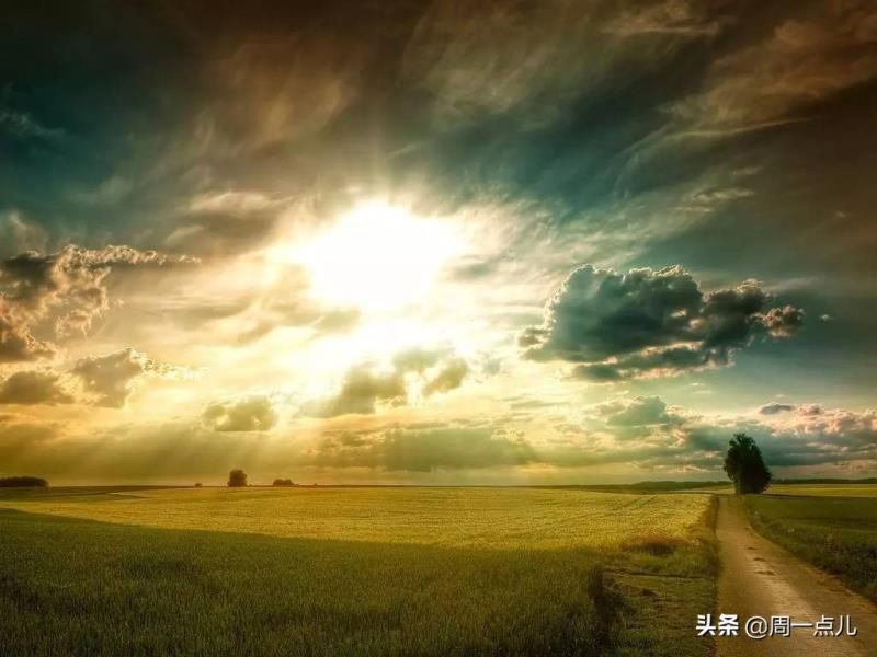 世上最不安的人在线2022年7月最吉利的日子,  世上最不安的人在线