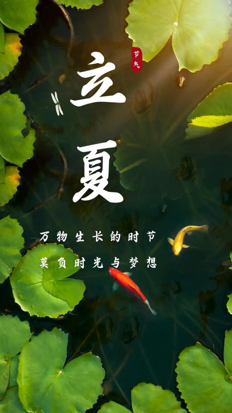 2022年05月日历,2022年农历五月是什么月