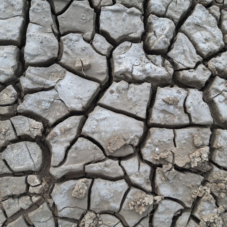 你有密集恐惧症吗？密恐患者到底在怕什么