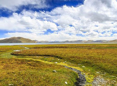 紫薇星盘在线查询免费元亨利贞,15种紫薇富贵命