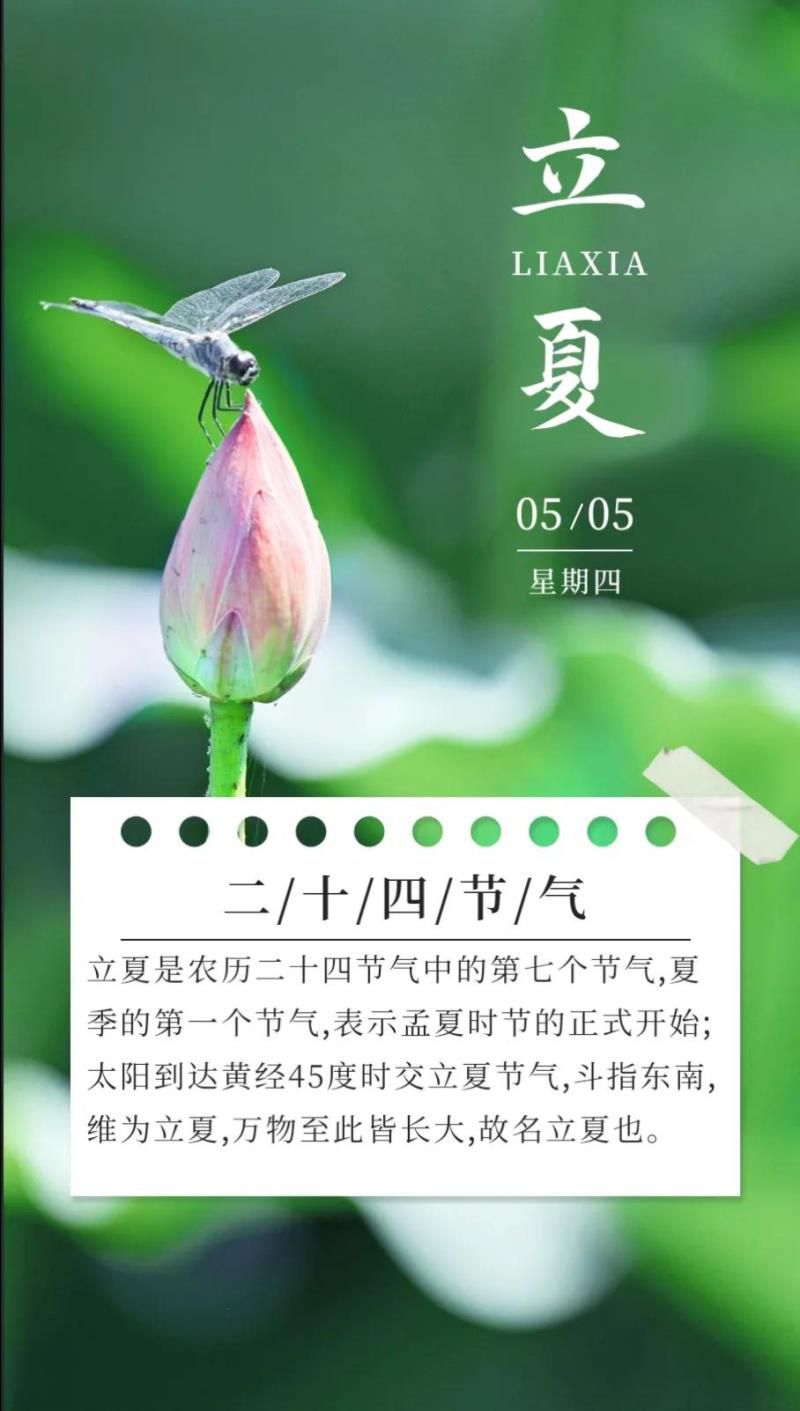 2022年05月日历,2022年农历五月是什么月