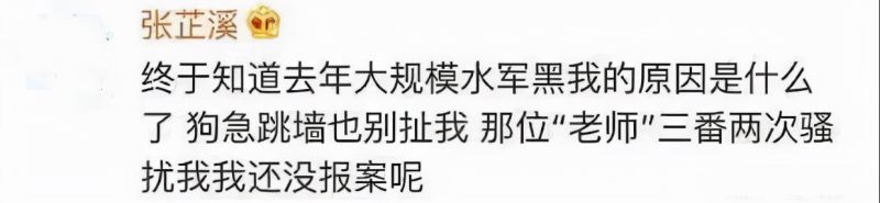 吴秀波第二一任妻子,吴秀波第二任妻子