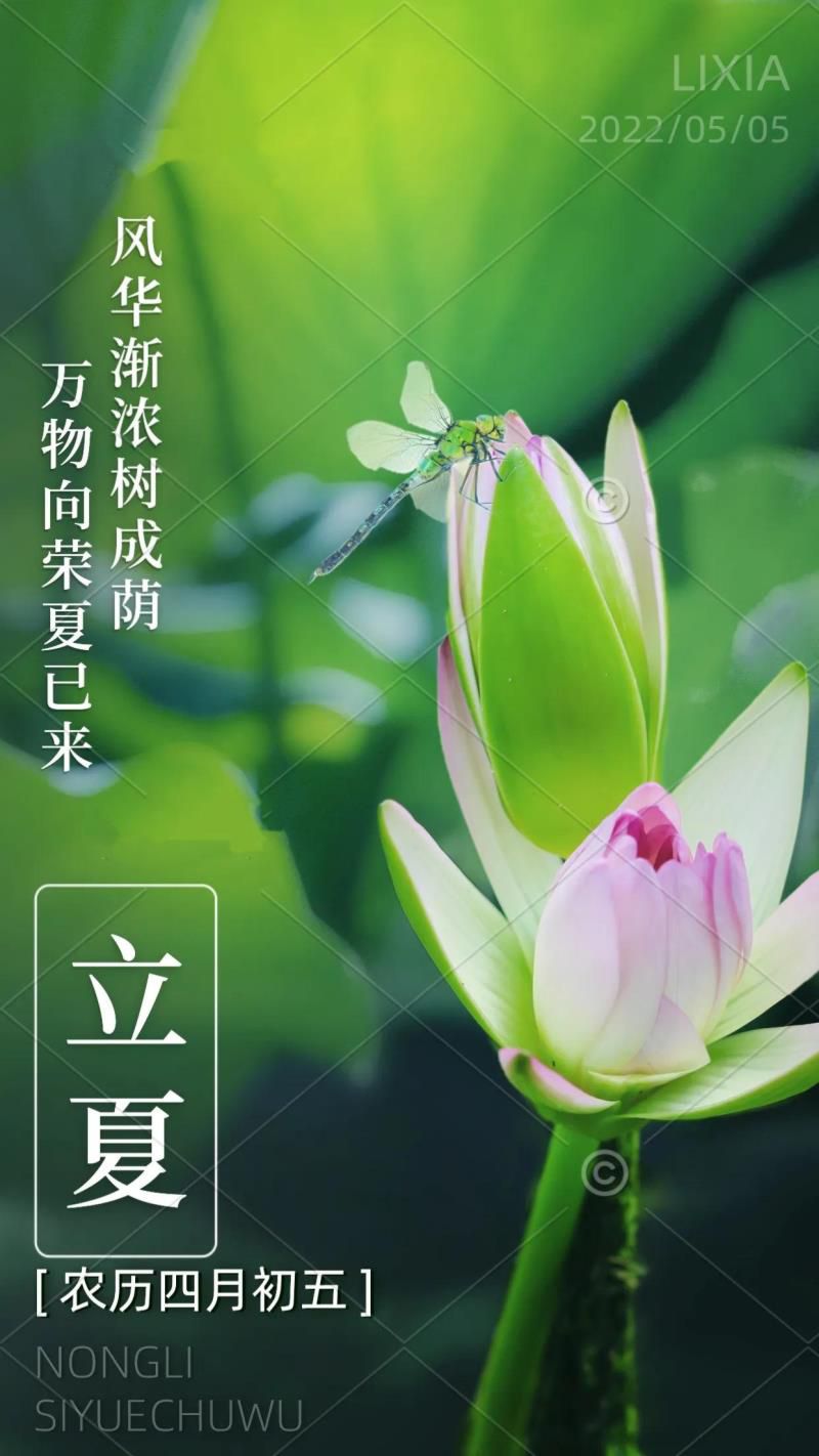 2022年05月日历,2022年农历五月是什么月