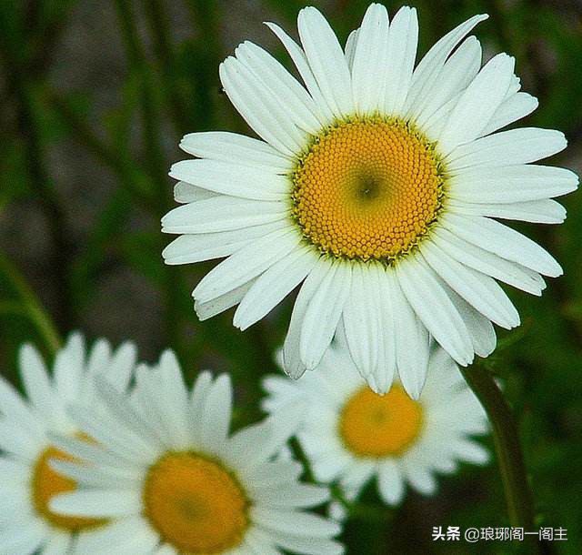 二十八星宿生日对照表哪个准,怎么查自己的本命星宿关系